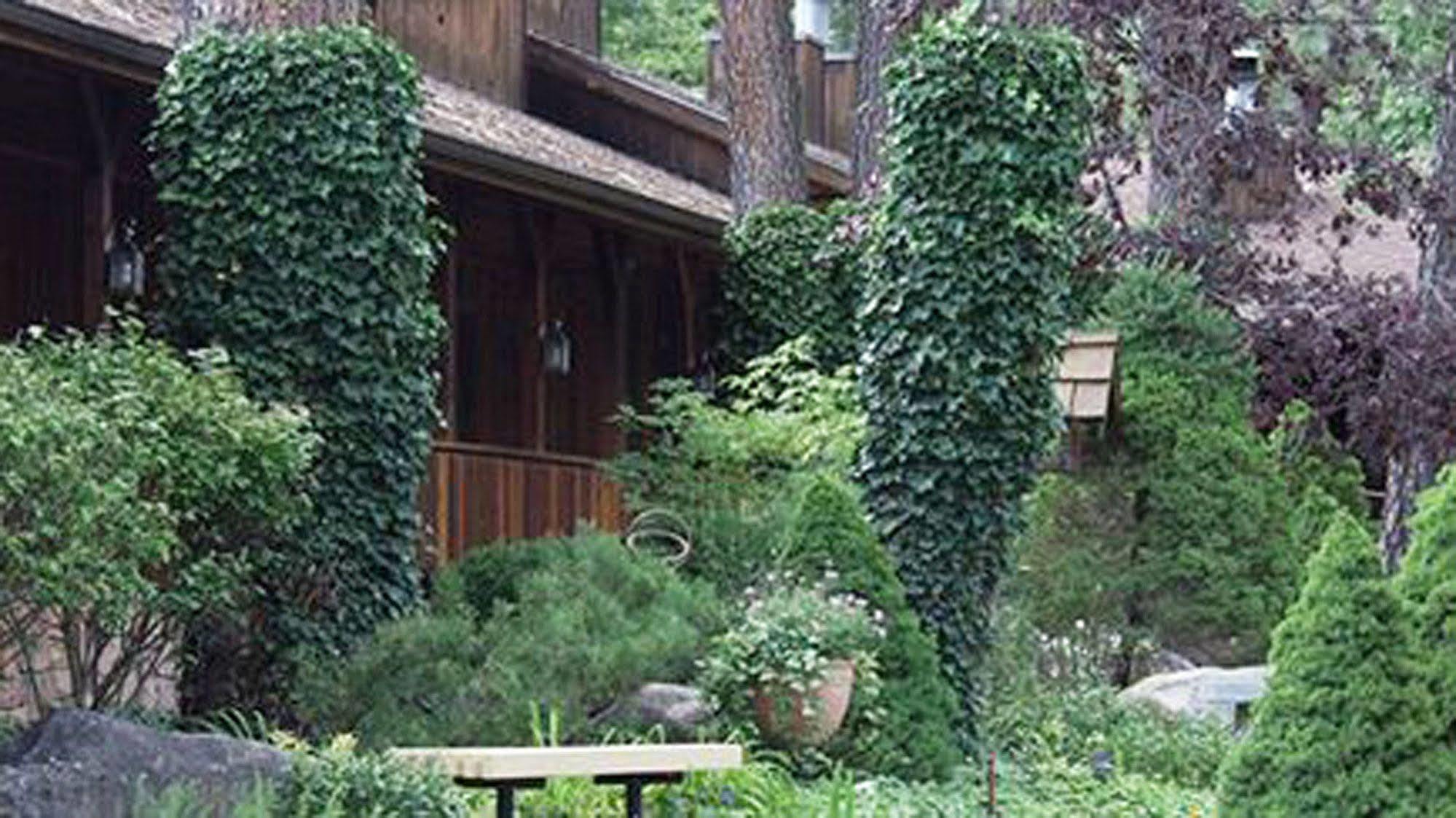 Shadow Mountain Lodge And Cabins Руидозо Экстерьер фото